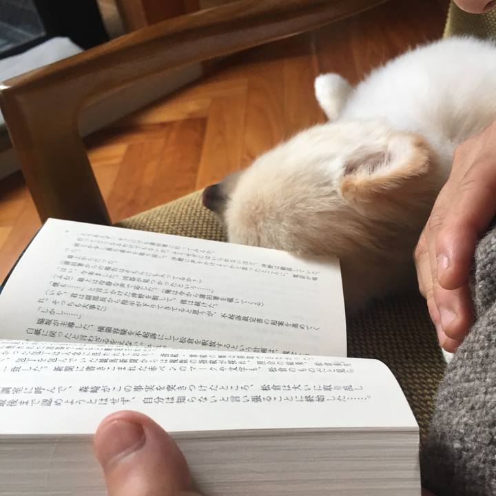 4cf4f5c4 f72a 4bf2 9b2c c544403ec351 1535864569256