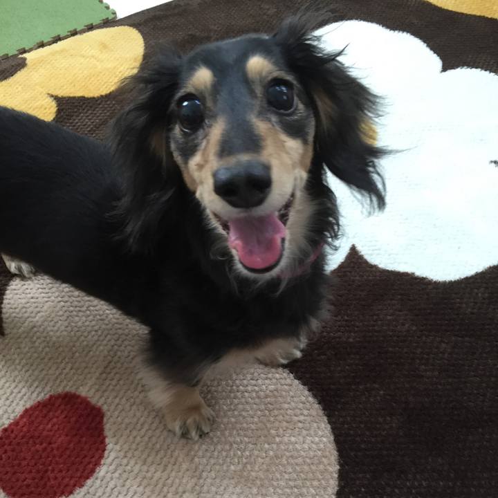 4cf4ff24 0adc 426f 90cb e8418d7447b4 1522800519499