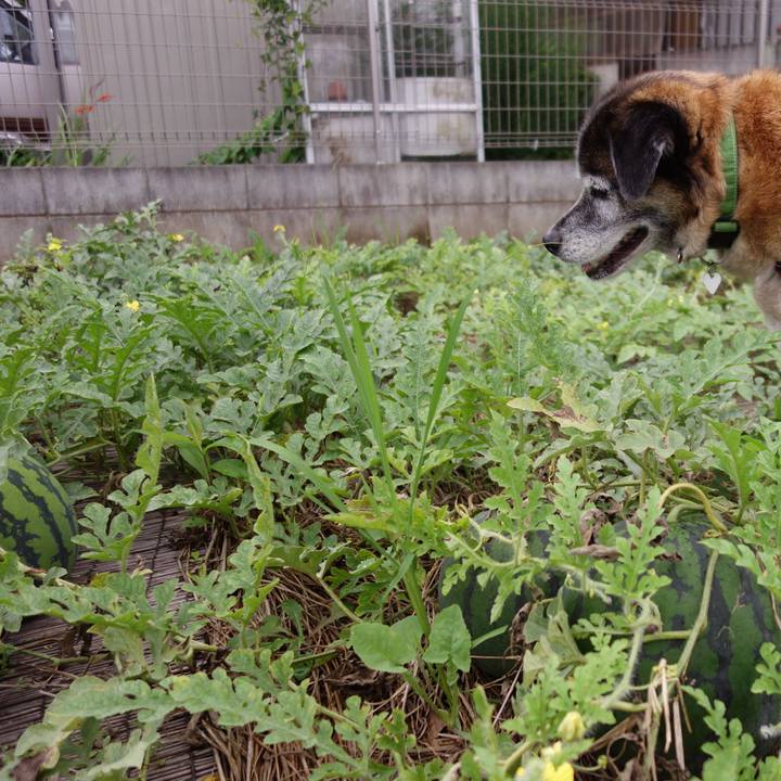 4cf5ca82 74d2 43de b983 6240c18399ea 1674090221159