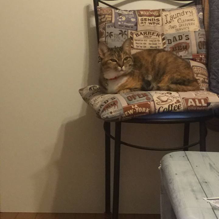 4cf63dfe 7b9c 4b04 b3ec d2903bdcc3e7 1561803292915