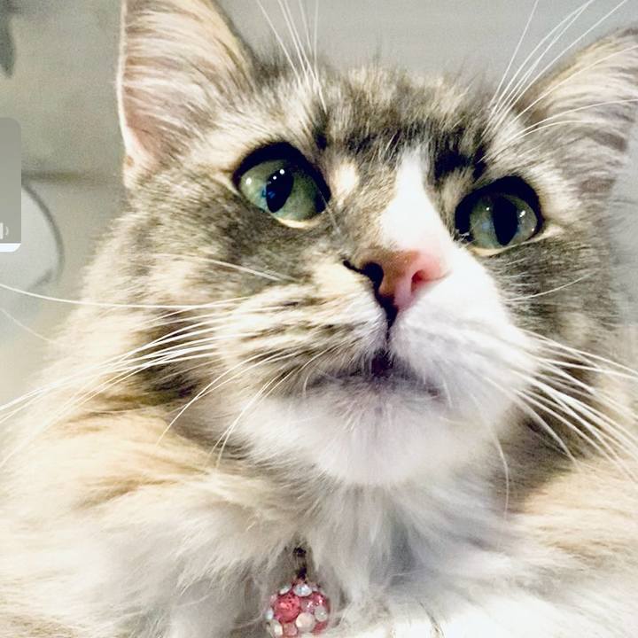 4cf64407 dbbb 4909 8caa 03281195a391 1758900904627