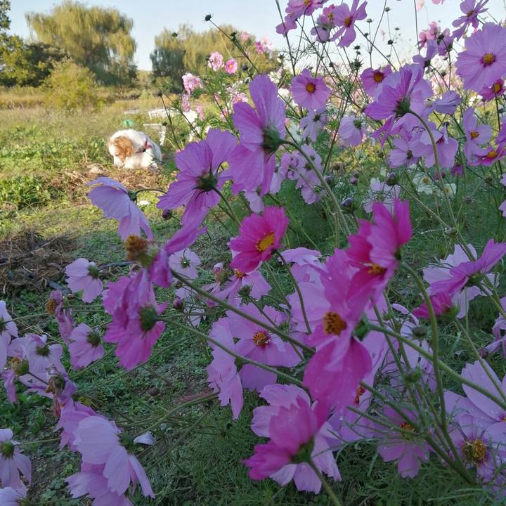 4cf65c94 0cb3 49d8 8890 4f900c3cf5f8 1604664723761