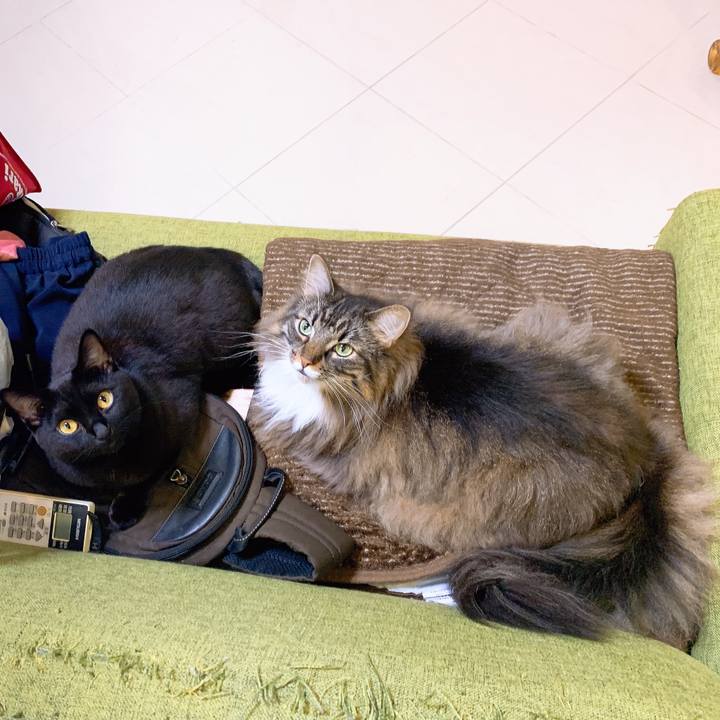 4cf65fae 1e77 49c4 b785 1c087c928e47 1573538798080