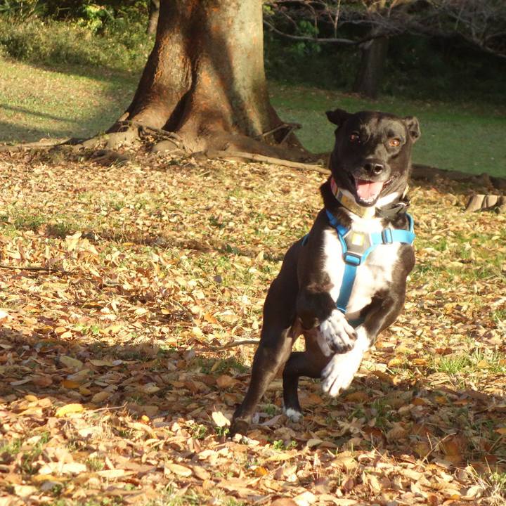 4cf6a429 280a 4417 995f df96ccbf9a72 1605571225431