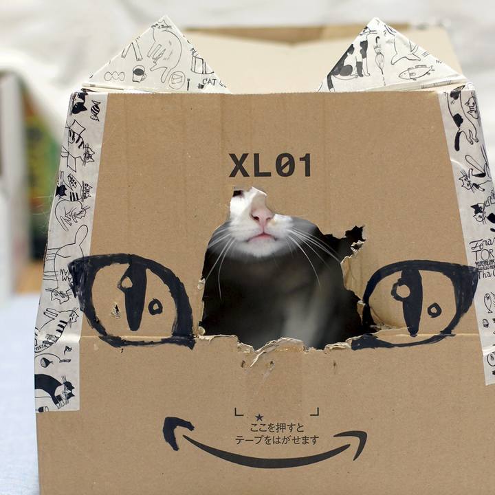 4cf6b6c8 67bd 41b7 b38d 30740b7d0146 1595809956835