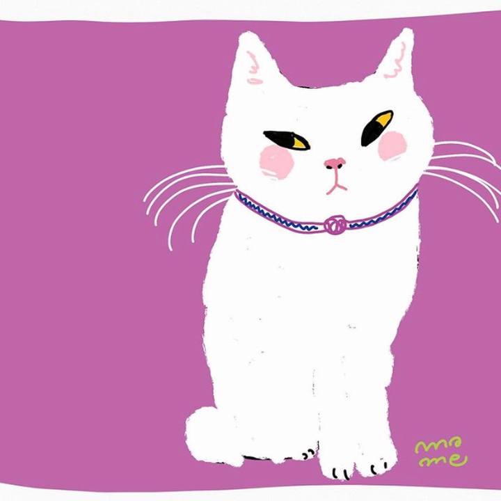 4cf6d385 1486 47d0 9f43 7a8d4f418c73 1578750938757