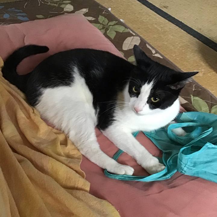 4cf6f1dd 259a 4089 b90a ac6089b7673d 1686309735021