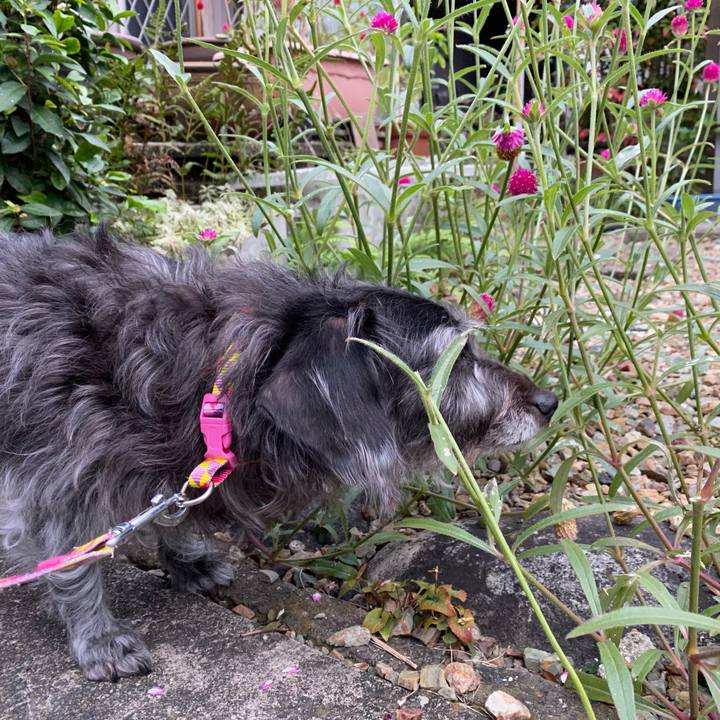 4cf6fb92 b6d1 4386 8c22 8965317097b7 1666394441850