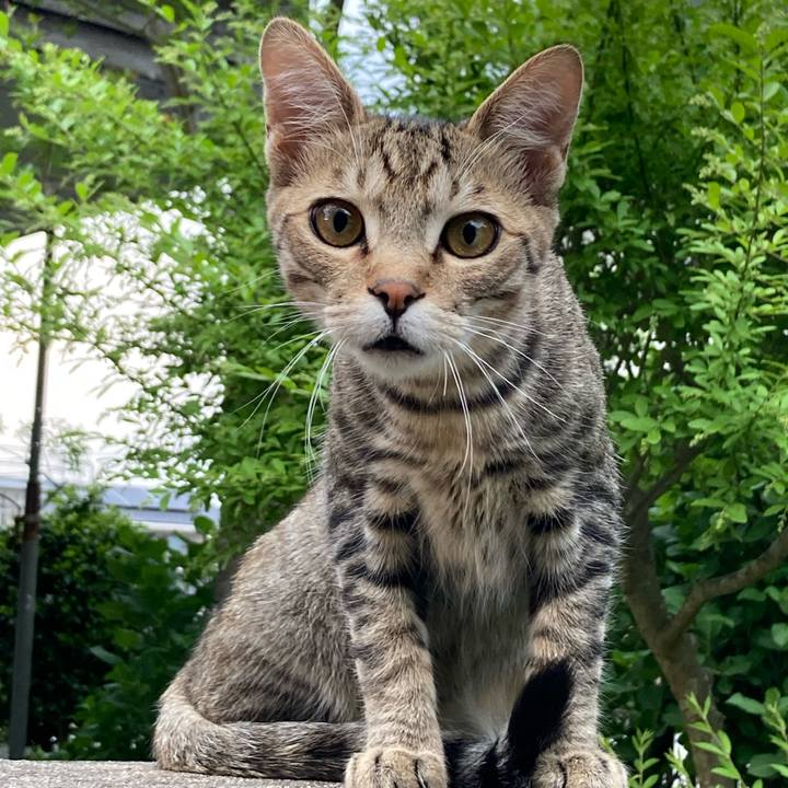 4cf6fcba c04a 4d47 b30c 70adfedbbb9f 1652954127013