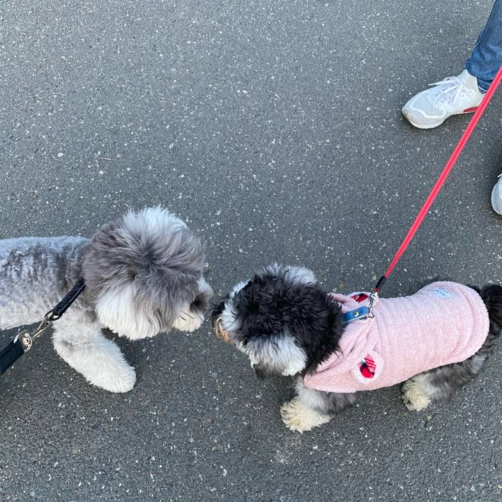 4cf71274 e3ae 4778 83d7 b6328821c800 1613301805271