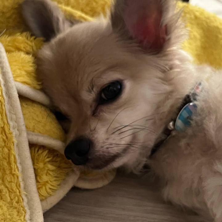 4cf79b51 e3a8 49c9 a77b add8673663ad 1662855820222