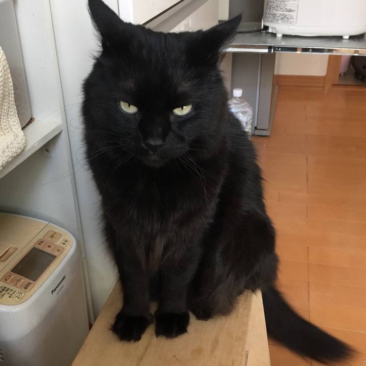 4cf7df66 f14a 476c ac24 136b45e3042d 1525173390353