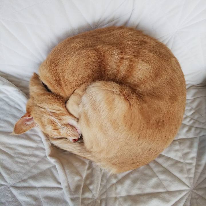 4cf7e6d2 dcd3 4dbb bb84 ed9f9843fc51 1631754839147