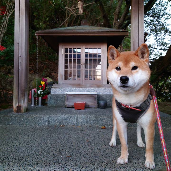 4cf7f7de e9bd 4677 95bf 381d49834f03 1768006832414