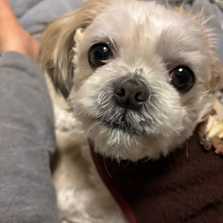 4cf8080a d2f8 4bf6 b5a7 a826ad94c972 1758801879355