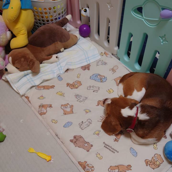 4cf86463 2529 4f9a b046 a24a25ebe3c6 1712311963357