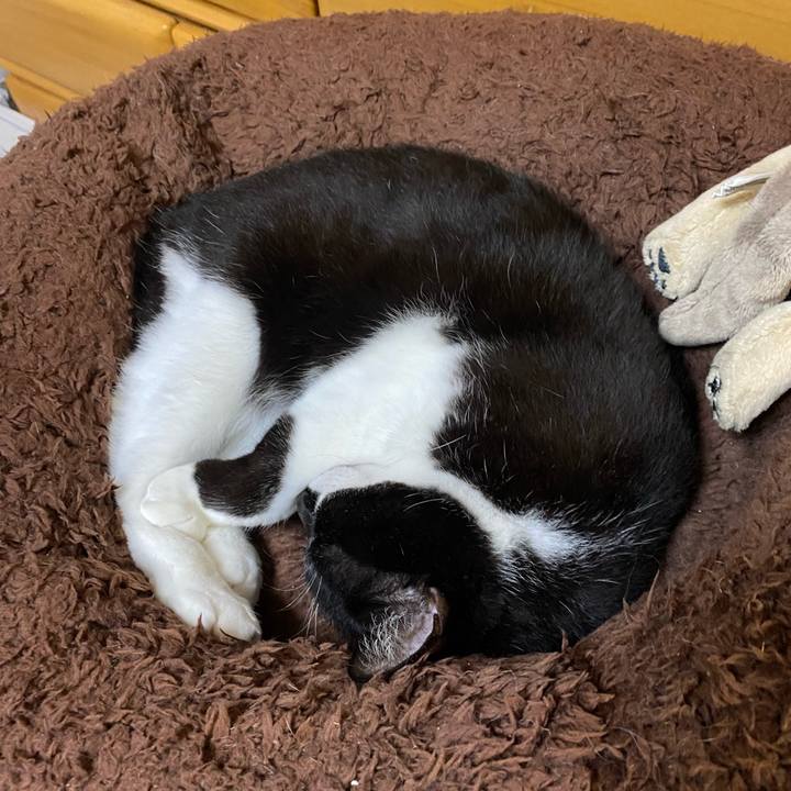 4cf880ba 973f 4cbf 8d37 109ab958d381 1731774273884