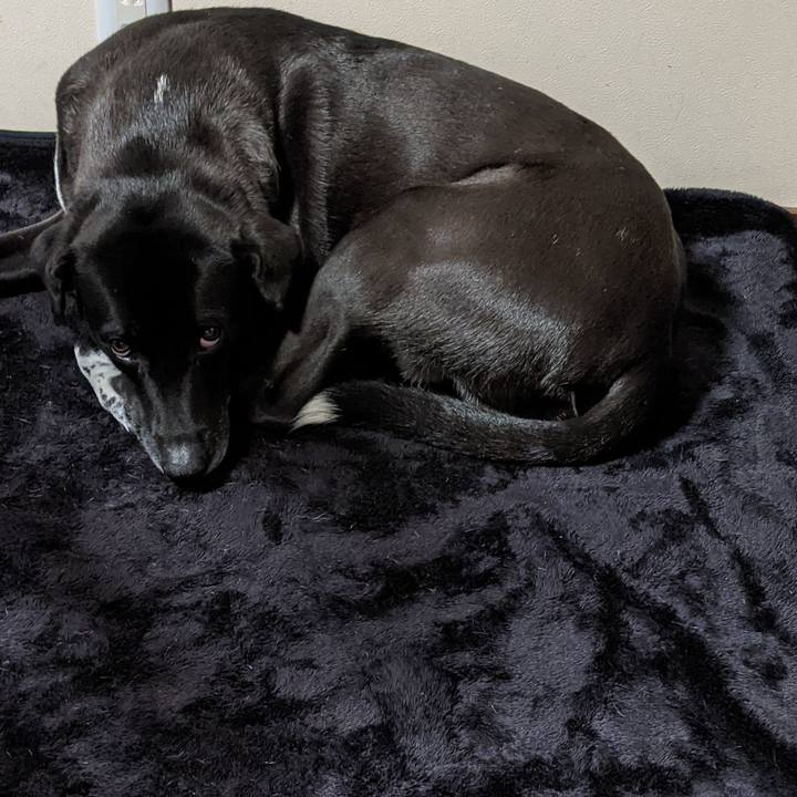 4cf88bab f933 485b 8a88 1cdd8e165a84 1634601909364