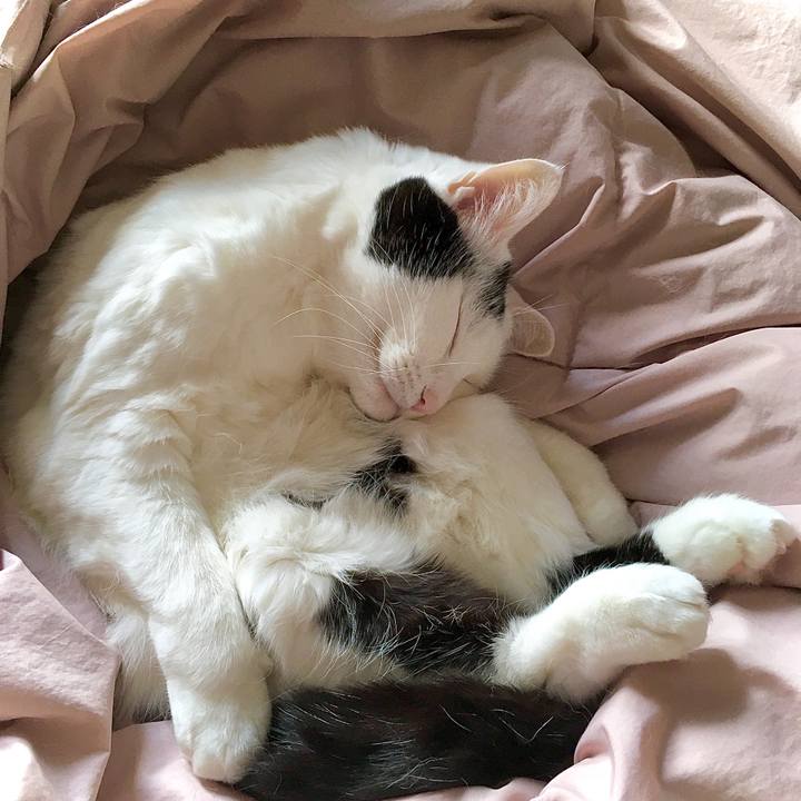 4cf8b9f7 54de 4570 b7e1 54421e7b6e64 1607485300688