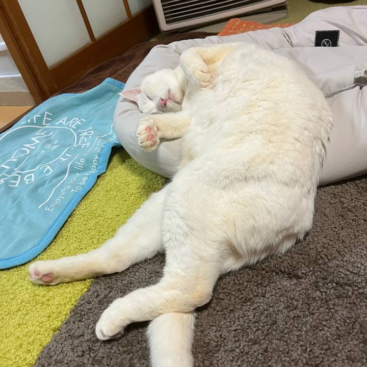 4cf8c021 e8e7 4b8d a91e 1528b40616dd 1707652892290