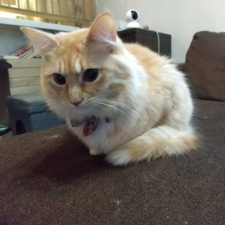 4cf8dfb6 f6fc 48e0 8466 b0e035da36c3 1641340473184