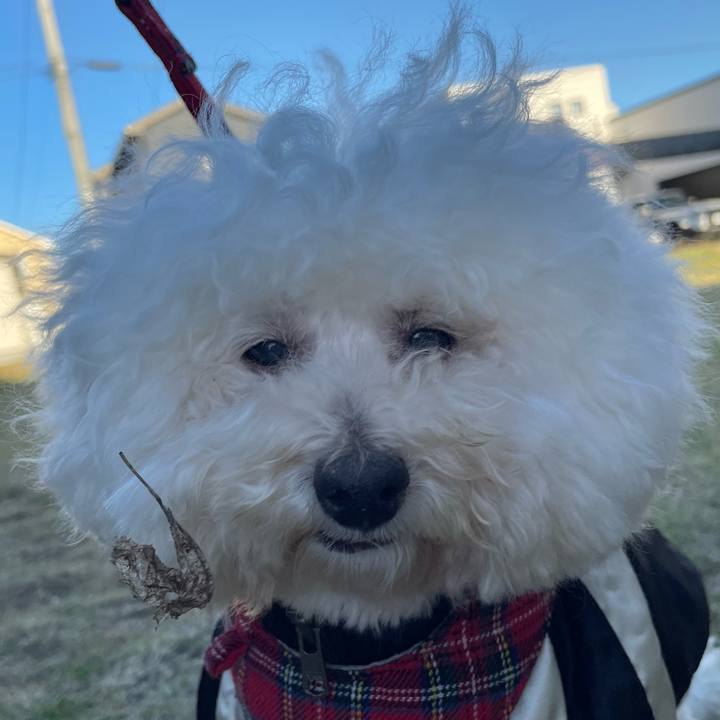 4cf9250a 8ce0 4c79 a9cd db46aad962c3 1762810533251