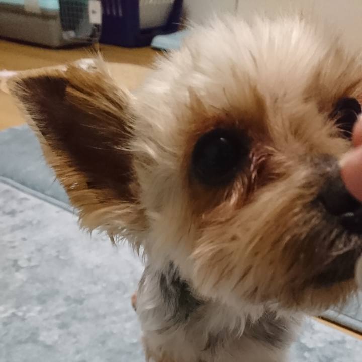 4cf9b147 b140 47f2 940c f983d85feb76 1520945510945