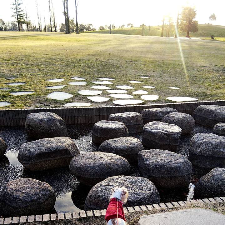 4cf9c001 7348 400e abf3 145c3d27e165 1583662261571