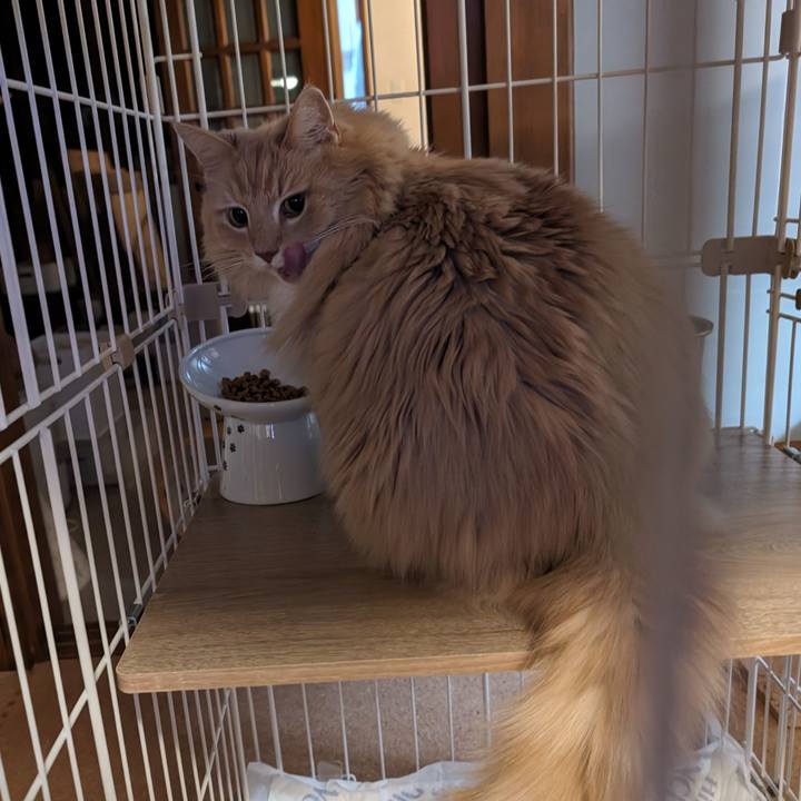 4cfa03a2 380f 4b02 87a3 c92261397bfa 1708687193074