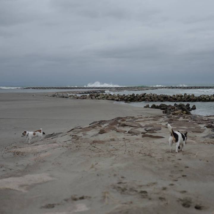 4cfa05d3 6702 4b99 9867 2edc7a5ef551 1512015678774