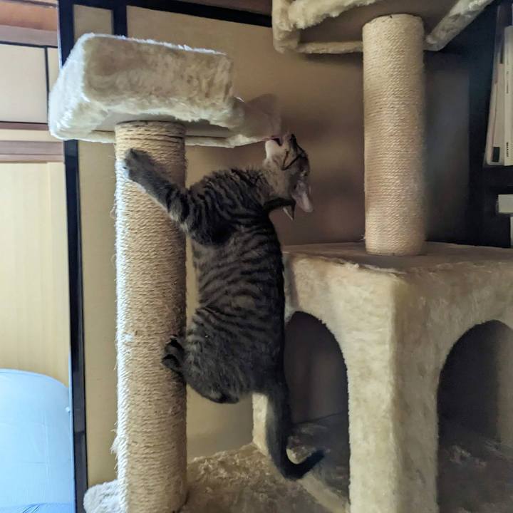 4cfa2fbe 270f 4f36 91e5 89e60f56dbed 1701143743009