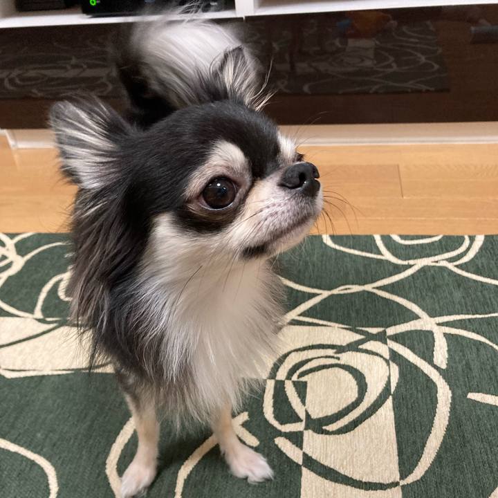 4cfa3590 d174 4af9 a228 552df02ee292 1637673659841