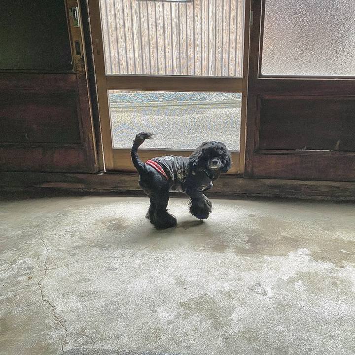 4cfa3e75 ad90 4250 a787 402dae7999f9 1616939147750