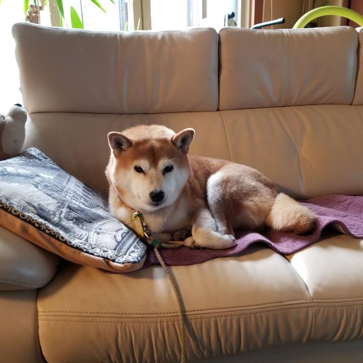 4cfa53d4 e134 4669 833f 6508af26b489 1570316869633