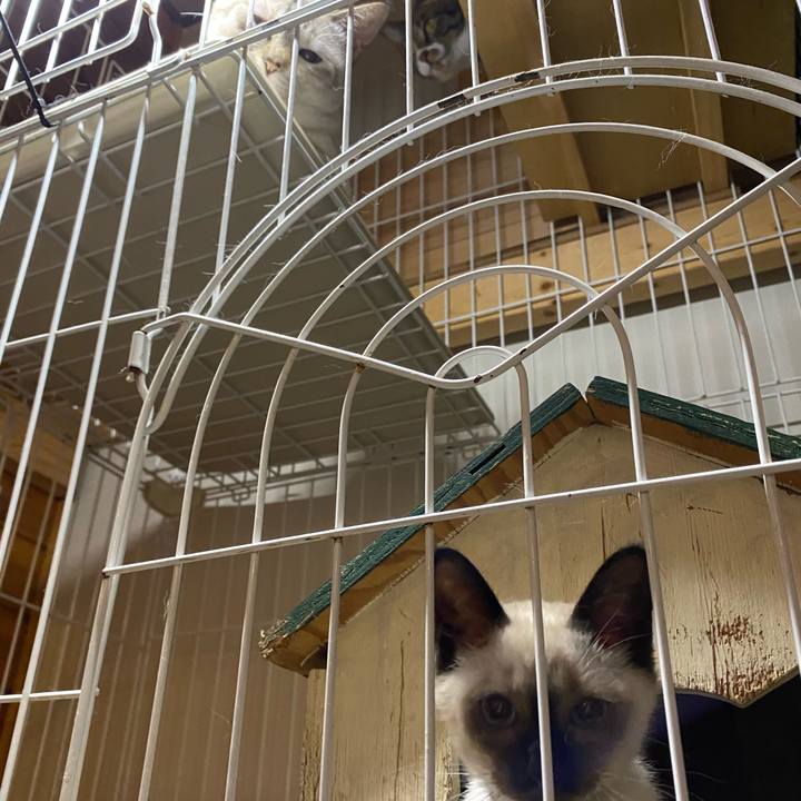 4cfa8217 8e33 463b a73a 0d5ab1e6e4f3 1688802495343