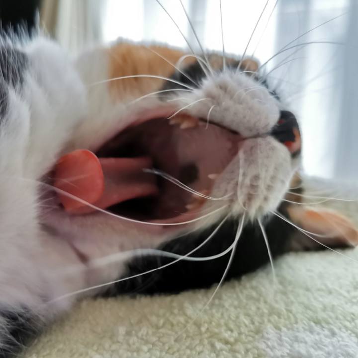 4cfaae9f ea9f 4051 93d7 ee0754750470 1661397653366