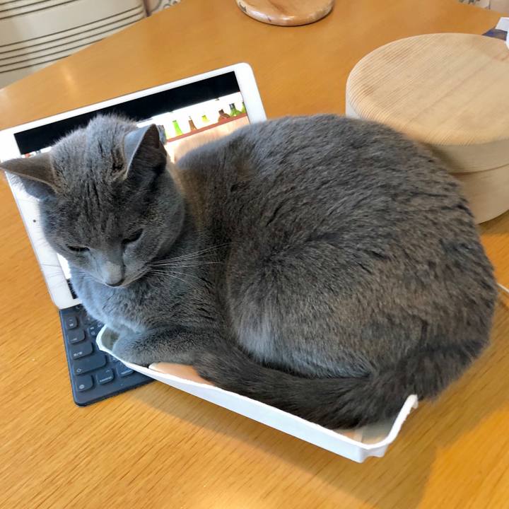 4cfb0286 cbbe 498c a9c2 24dfbc4925f6 1608620827102