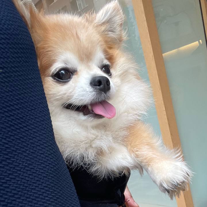 4cfb1091 b2cd 42c6 8518 d72349bc9301 1757740784194