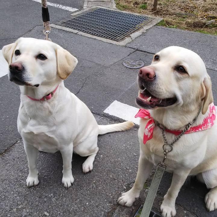 4cfb6b86 723a 49fa 9e84 5e7714ead476 1551233004277