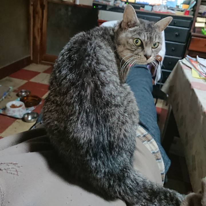 4cfbb0b7 6806 44f3 b99f b91a7bca85eb 1575889195892