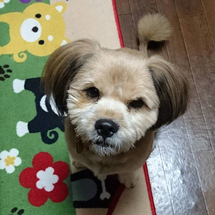 4cfbc3de 5ff3 4175 89aa 99c40d2460ee 1510570760561