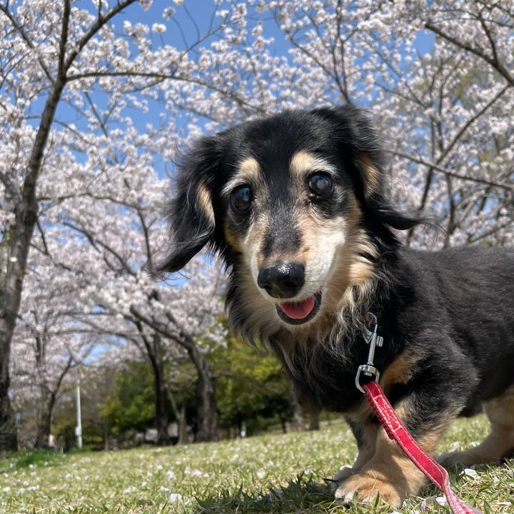 4cfbd485 b814 48e7 bc41 a7a2aed13b8b 1744086305509