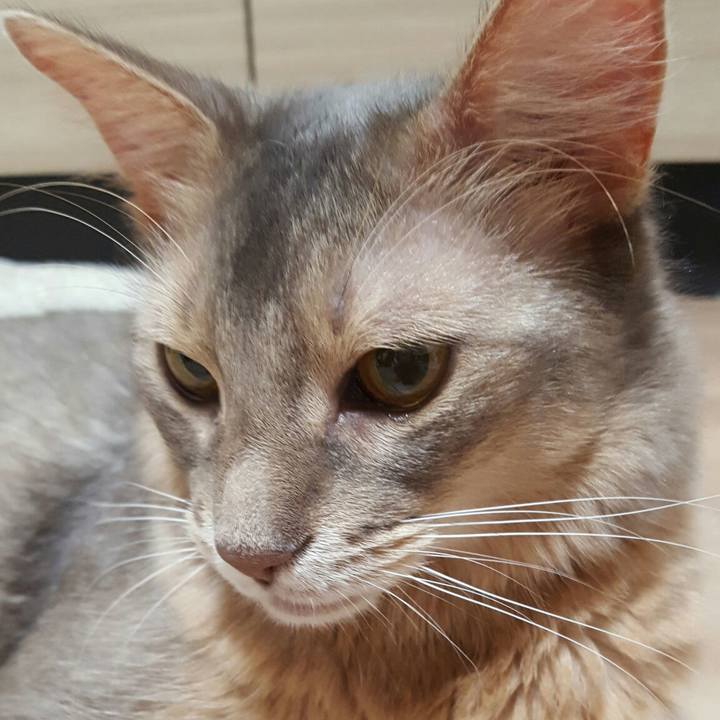 4cfbd62a 7fc5 46da b2c0 1562aebfb864 1568469214535