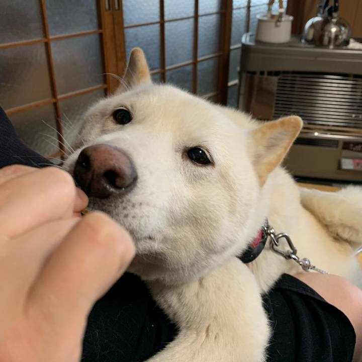 4cfc0f1a 0c6d 4705 8511 401661421032 1578785891564