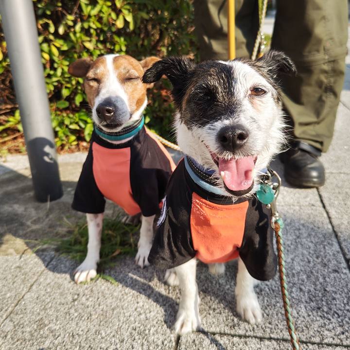 4cfc1e23 d27b 43cf 8250 c5d4162f27c0 1721778306318