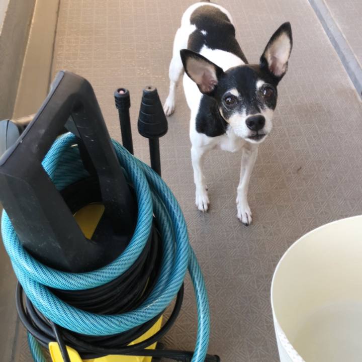 4cfc2a1a ce79 41ad b019 96a5b0b8214f 1538951785578