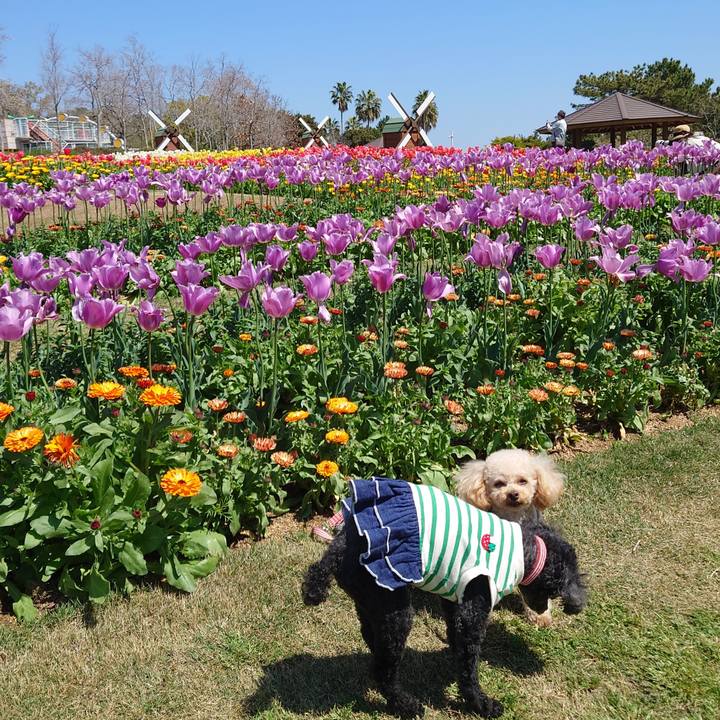 4cfc55ae 8228 44cc a9c4 79272e1d3697 1775719289329