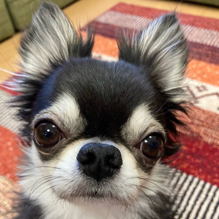 4cfc75e6 aee7 4480 8945 7e0e1d36ce89 1677367644912