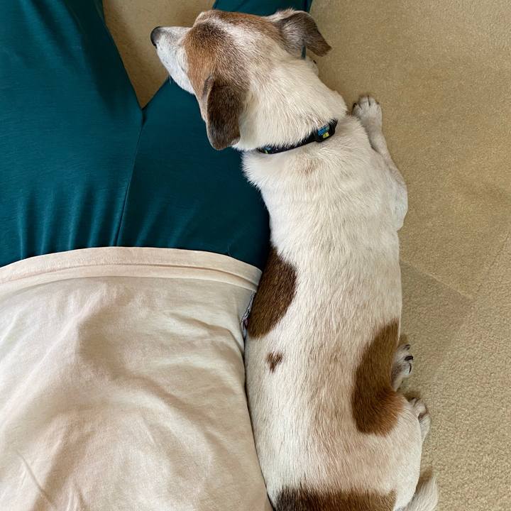 4cfc762b f93c 496d 97d8 b0f8eefde907 1601087669999