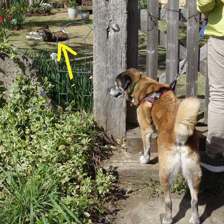 4cfc9cdc 25b9 4211 b6fe 65949b0f8aed 1633567948166